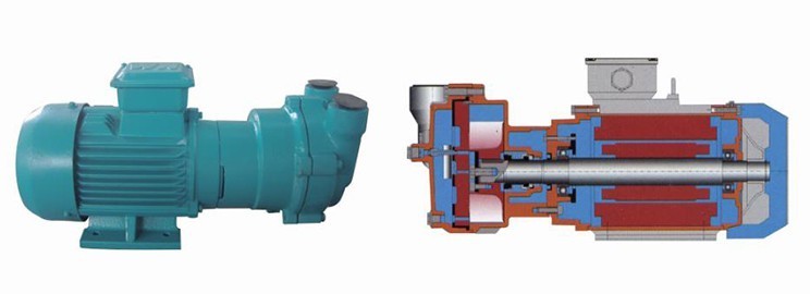 2BV水环真空泵